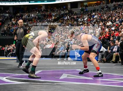 Thumbnail 3 in CHSAA State Championship - 4A Finals photogallery.