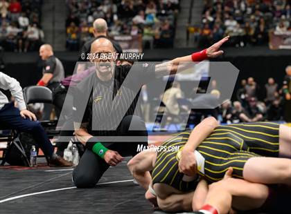 Thumbnail 1 in CHSAA State Championship - 4A Finals photogallery.