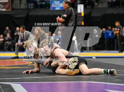Thumbnail 1 in CHSAA State Championship - 4A Finals photogallery.