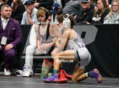 Thumbnail 1 in CHSAA State Championship - 4A Finals photogallery.