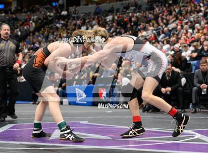 Thumbnail 3 in CHSAA State Championship - 4A Finals photogallery.