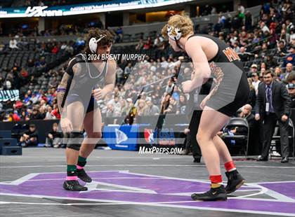 Thumbnail 2 in CHSAA State Championship - 4A Finals photogallery.