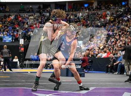 Thumbnail 3 in CHSAA State Championship - 4A Finals photogallery.