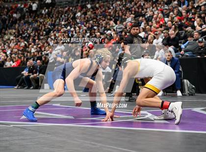 Thumbnail 3 in CHSAA State Championship - 4A Finals photogallery.