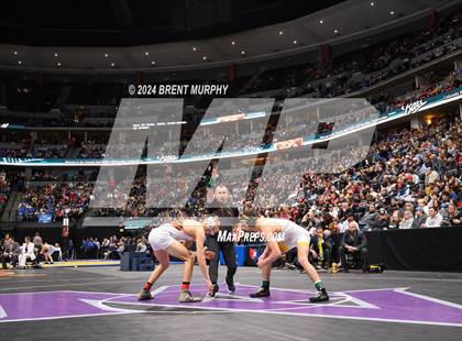 Thumbnail 3 in CHSAA State Championship - 4A Finals photogallery.