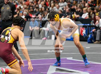 Thumbnail 2 in CHSAA State Championship - 4A Finals photogallery.