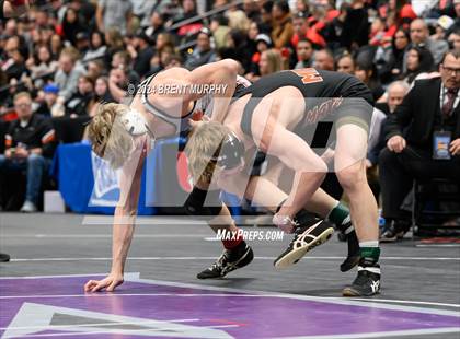 Thumbnail 3 in CHSAA State Championship - 4A Finals photogallery.