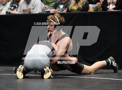 Thumbnail 1 in CHSAA State Championship - 4A Finals photogallery.