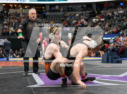 Thumbnail 2 in CHSAA State Championship - 4A Finals photogallery.