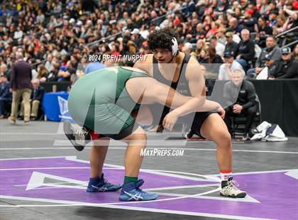 Thumbnail 1 in CHSAA State Championship - 4A Finals photogallery.