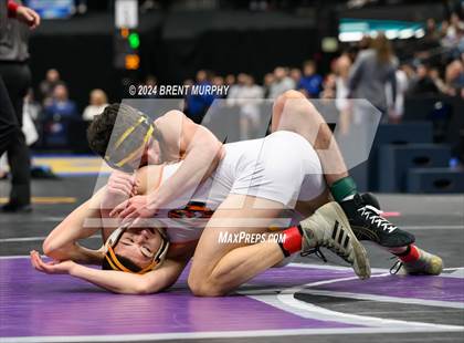 Thumbnail 3 in CHSAA State Championship - 4A Finals photogallery.