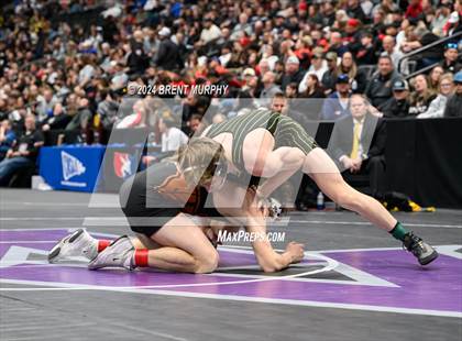 Thumbnail 2 in CHSAA State Championship - 4A Finals photogallery.