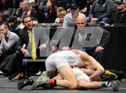 Thumbnail 1 in CHSAA State Championship - 4A Finals photogallery.