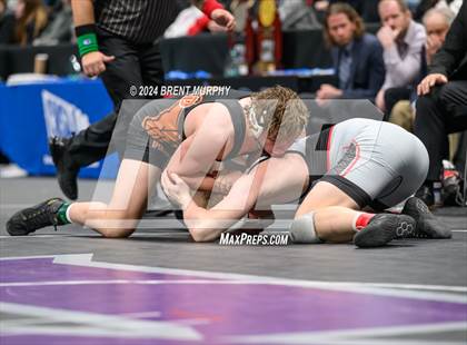 Thumbnail 1 in CHSAA State Championship - 4A Finals photogallery.