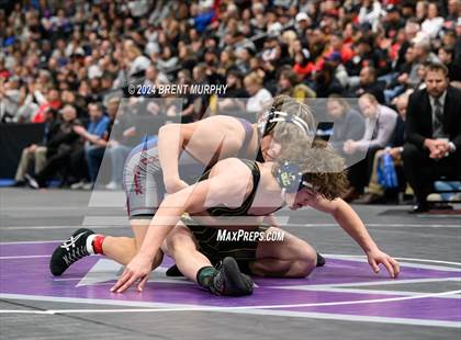 Thumbnail 2 in CHSAA State Championship - 4A Finals photogallery.