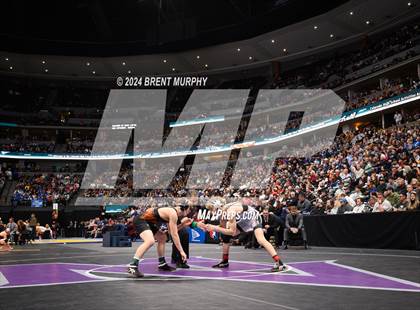 Thumbnail 1 in CHSAA State Championship - 4A Finals photogallery.