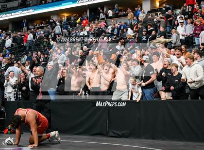Thumbnail 3 in CHSAA State Championship - 4A Finals photogallery.