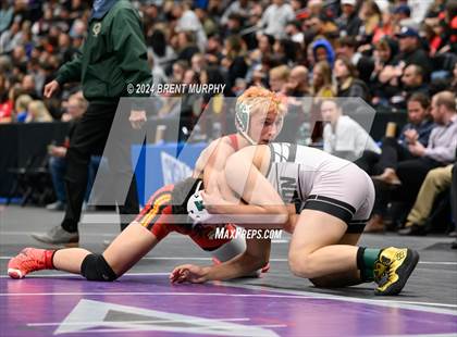 Thumbnail 1 in CHSAA State Championship - 4A Finals photogallery.