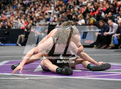 Thumbnail 3 in CHSAA State Championship - 4A Finals photogallery.