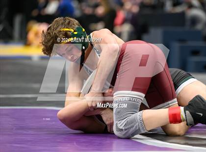 Thumbnail 1 in CHSAA State Championship - 4A Finals photogallery.