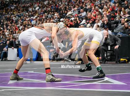 Thumbnail 2 in CHSAA State Championship - 4A Finals photogallery.