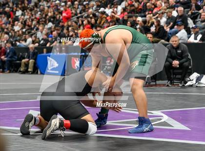 Thumbnail 1 in CHSAA State Championship - 4A Finals photogallery.