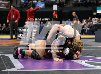 Thumbnail 1 in CHSAA State Championship - 4A Finals photogallery.