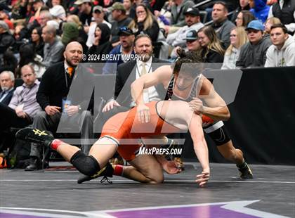 Thumbnail 3 in CHSAA State Championship - 4A Finals photogallery.