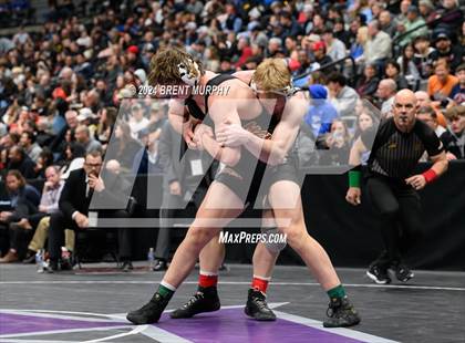 Thumbnail 1 in CHSAA State Championship - 4A Finals photogallery.