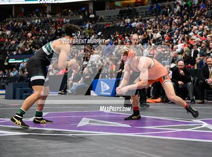 Thumbnail 3 in CHSAA State Championship - 4A Finals photogallery.