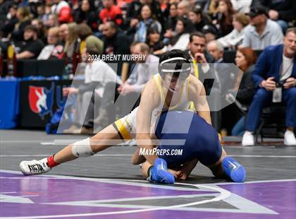 Thumbnail 2 in CHSAA State Championship - 4A Finals photogallery.