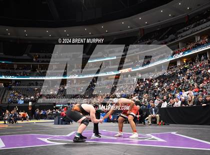 Thumbnail 2 in CHSAA State Championship - 4A Finals photogallery.