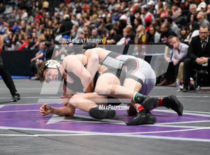 Thumbnail 1 in CHSAA State Championship - 4A Finals photogallery.