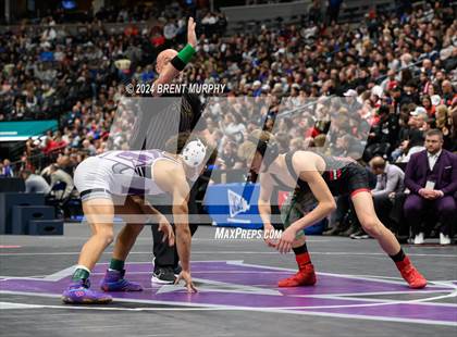 Thumbnail 1 in CHSAA State Championship - 4A Finals photogallery.