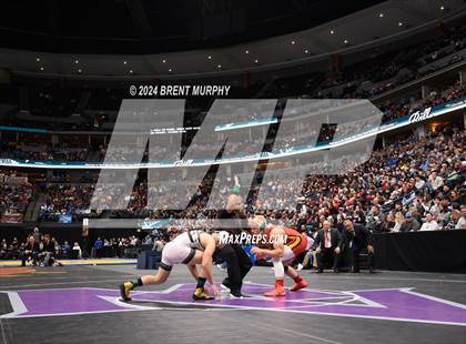 Thumbnail 1 in CHSAA State Championship - 4A Finals photogallery.