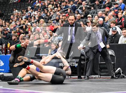 Thumbnail 2 in CHSAA State Championship - 4A Finals photogallery.
