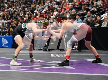 Thumbnail 1 in CHSAA State Championship - 4A Finals photogallery.