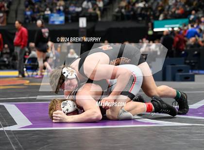 Thumbnail 1 in CHSAA State Championship - 4A Finals photogallery.