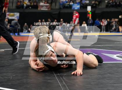 Thumbnail 3 in CHSAA State Championship - 4A Finals photogallery.