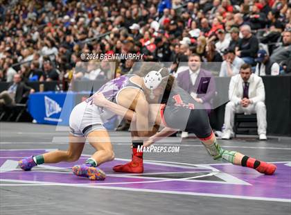 Thumbnail 2 in CHSAA State Championship - 4A Finals photogallery.