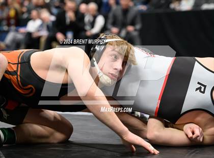 Thumbnail 1 in CHSAA State Championship - 4A Finals photogallery.