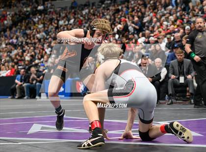 Thumbnail 3 in CHSAA State Championship - 4A Finals photogallery.