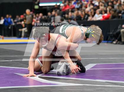 Thumbnail 3 in CHSAA State Championship - 4A Finals photogallery.