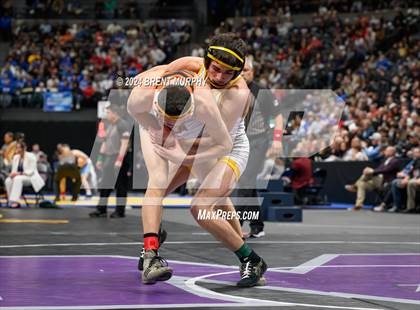 Thumbnail 1 in CHSAA State Championship - 4A Finals photogallery.