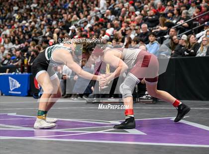 Thumbnail 2 in CHSAA State Championship - 4A Finals photogallery.