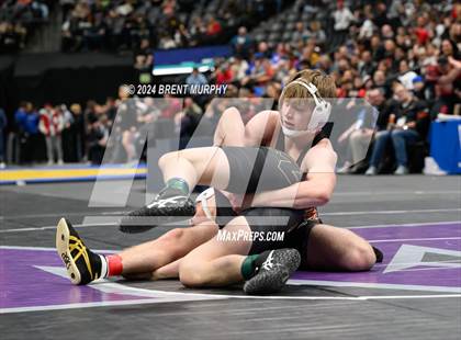 Thumbnail 1 in CHSAA State Championship - 4A Finals photogallery.