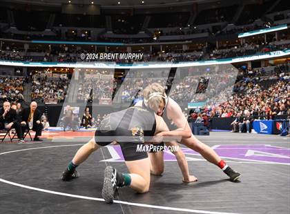 Thumbnail 2 in CHSAA State Championship - 4A Finals photogallery.