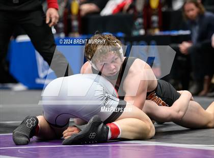 Thumbnail 1 in CHSAA State Championship - 4A Finals photogallery.