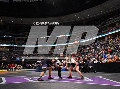 Thumbnail 1 in CHSAA State Championship - 4A Finals photogallery.