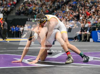 Thumbnail 3 in CHSAA State Championship - 4A Finals photogallery.